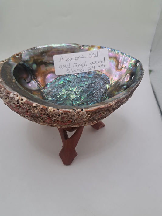 Abalone shell and wood stand