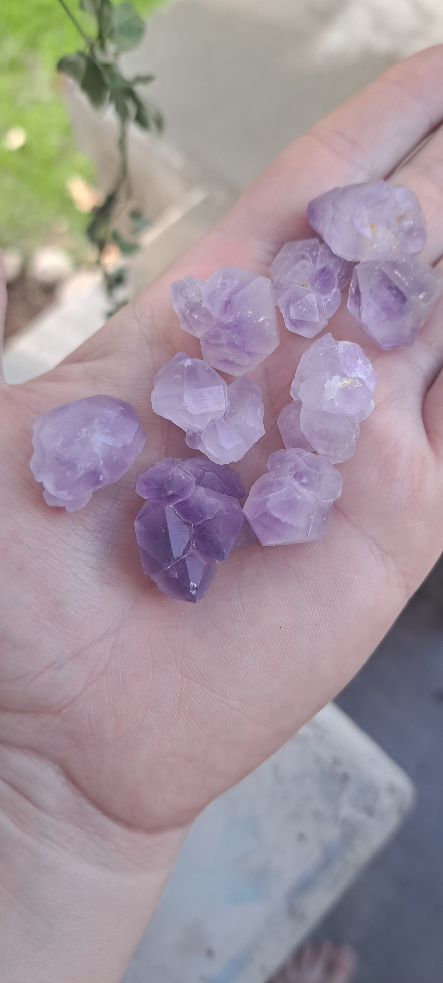 Amethyst Raw Clusters