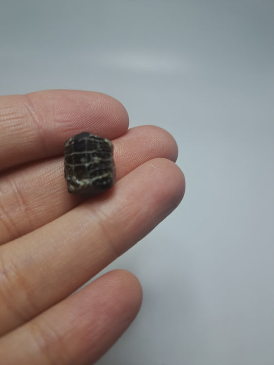 Black Tourmaline