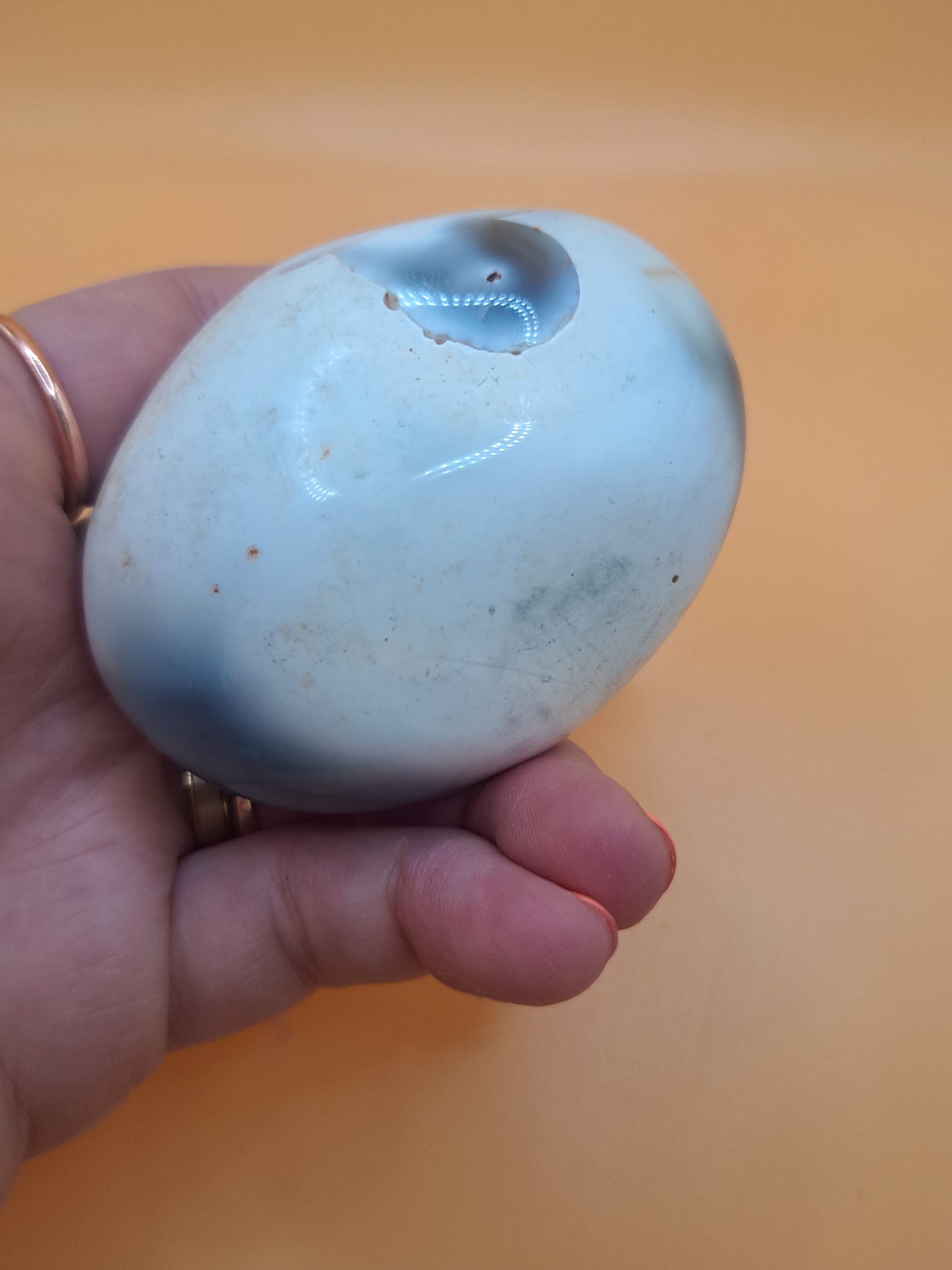 Orca Agate