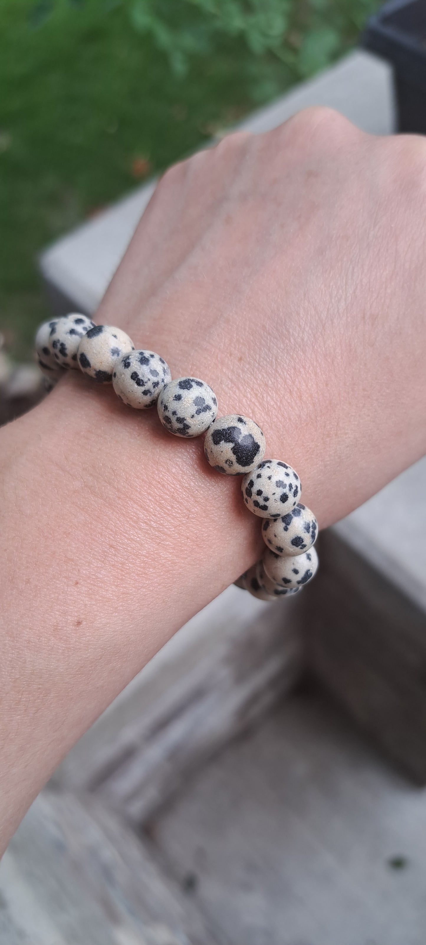 Dalmatian Jasper Set