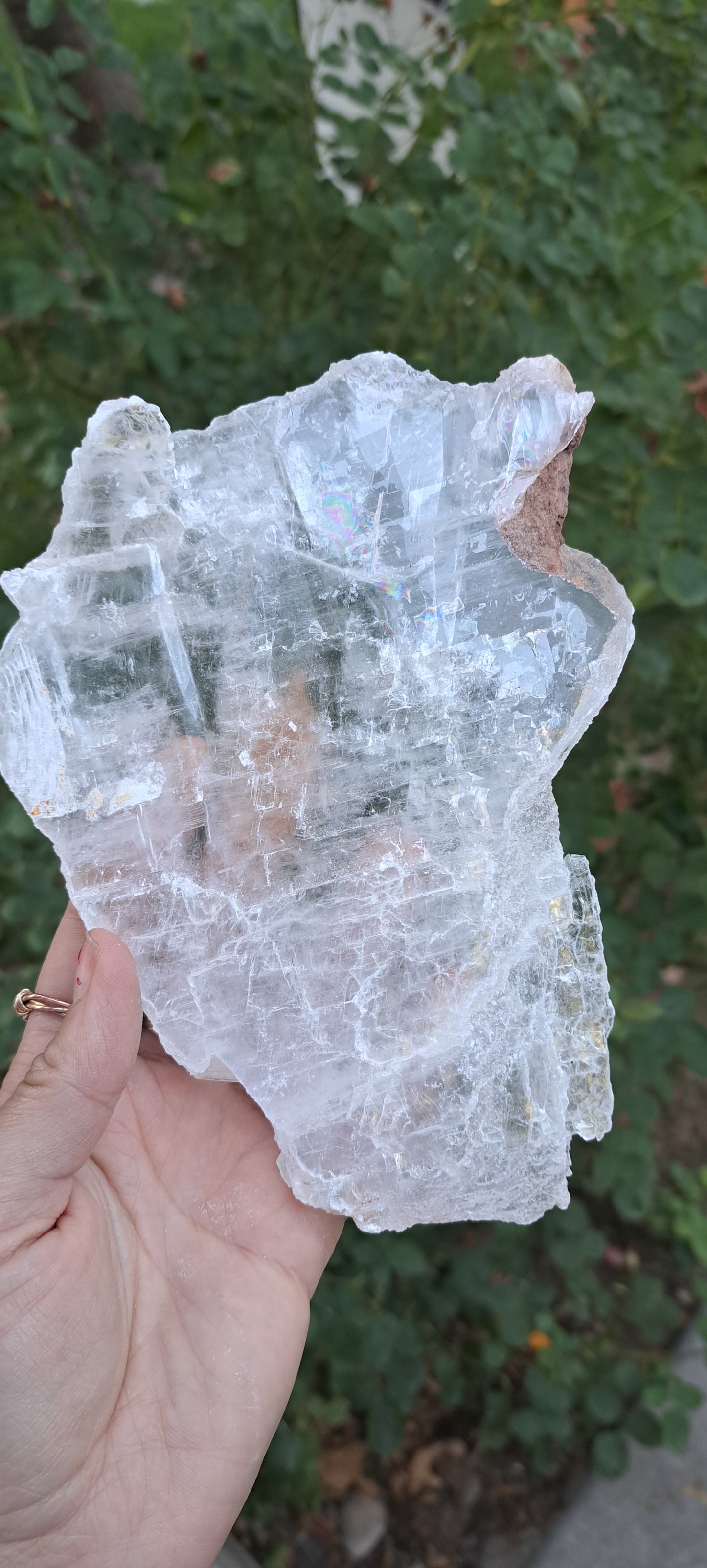 Selenite Plates