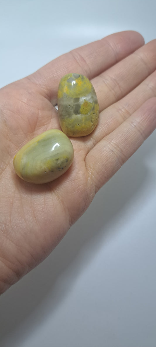 Bumblebee Jasper