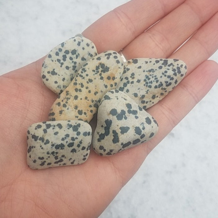 Dalmatian jasper